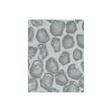Kravet Couture Fabric Holland Charcoal ANDREW MARTIN CLARENDON PAPER - 63%;POLYESTER - 37% Japan LIGHT Horizontal: 11.5 and Vertical: 11.75 47.2 - My Fabric Connection -