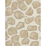 Kravet Couture Fabric Holland Natural