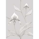 Cole & Son Wallcovering Orchid Grey/White CONTEMPORARY RESTYLED PAPER - 100% United Kingdom Horizontal: 21 and Vertical: 30 21 - My Fabric Connection -