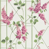 Cole & Son Wallcovering Wisteria Magenta/Green/Wh COLE & SON BOTANICAL BOTANICA PAPER - 100% United Kingdom - Horizontal: 20.5 and Vertical: 20.5 20.5 - My Fabric Connection -
