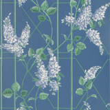 Cole & Son Wallcovering Wisteria P Blue/Jade/C Blue COLE & SON BOTANICAL BOTANICA PAPER - 100% United Kingdom - Horizontal: 20.5 and Vertical: 20.5 20.5 - My Fabric Connection -