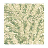 Cole & Son Wallcovering Florencecourt Olive COLE & SON ARCHIVE ANTHOLOGY PAPER - 100% United Kingdom - Horizontal: - and Vertical: 21 20.5 - My Fabric Connection -