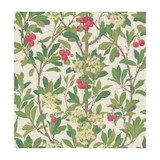 Cole & Son Wallcovering Strawberry Tree Scarlet & Ivory COLE & SON ARCHIVE ANTHOLOGY PAPER - 100% United Kingdom - Horizontal: - and Vertical: 21.1 20.5 - My Fabric Connection -