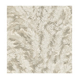 Cole & Son Wallcovering Florencecourt Stone COLE & SON ARCHIVE ANTHOLOGY PAPER - 100% United Kingdom - Horizontal: - and Vertical: 21 20.5 - My Fabric Connection -