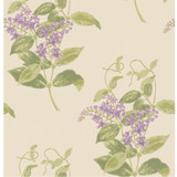 Cole & Son Wallcovering Madras Violet Olive & Lavender