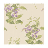 Cole & Son Wallcovering Madras Violet Olive & Lavender COLE & SON ARCHIVE ANTHOLOGY PAPER - 100% United Kingdom - Horizontal: - and Vertical: 21 20.5 - My Fabric Connection -