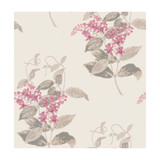 Cole & Son Wallcovering Madras Violet Pink COLE & SON ARCHIVE ANTHOLOGY PAPER - 100% United Kingdom - Horizontal: - and Vertical: 21 20.5 - My Fabric Connection -