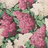 Cole & Son Wallcovering Lilac Magenta/Blush/Charco