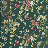 Cole & Son Wallcovering Sweet Pea Cerise/Magen/Vrdn COLE & SON BOTANICAL BOTANICA PAPER - 100% United Kingdom - Horizontal: - and Vertical: 15 20.5 - My Fabric Connection -