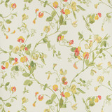 Cole & Son Wallcovering Sweet Pea Pink & Yellow