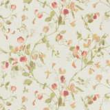Cole & Son Wallcovering Sweet Pea Pink