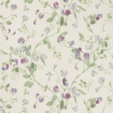 Cole & Son Wallcovering Sweet Pea Violet COLE & SON ARCHIVE ANTHOLOGY PAPER - 100% United Kingdom - Horizontal: - and Vertical: 15 20.5 - My Fabric Connection -