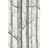 Cole & Son Wallcovering Woods Onyx/White COLE & SON NEW CONTEMPORARY II PAPER - 100% United Kingdom Horizontal: and Vertical: 28.3 20.5 - My Fabric Connection -