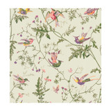 Cole & Son Wallcovering Hummingbirds Green Multi-Colour COLE & SON ARCHIVE ANTHOLOGY PAPER - 100% United Kingdom - Horizontal: - and Vertical: 21.1 20.5 - My Fabric Connection -