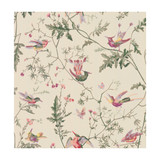 Cole & Son Wallcovering Hummingbirds Original Multi-Colour COLE & SON ARCHIVE ANTHOLOGY PAPER - 100% United Kingdom - Horizontal: - and Vertical: 21.1 20.5 - My Fabric Connection -