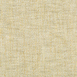 Kravet Couture Fabric Rancho Mineral