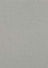 Baker Lifestyle Fabric Lansdowne Silver