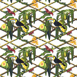 Gaston Y Daniela Fabric Tucan Fondo Blanco