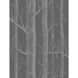 Cole & Son Wallcovering Woods & Pears Gilver/Black CONTEMPORARY RESTYLED PAPER - 100% United Kingdom Horizontal: 21 and Vertical: 27.5 21 - My Fabric Connection -