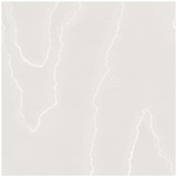 Cole & Son Wallcovering Watered Silk Silver COLE & SON LANDSCAPE PLAINS PAPER - 100% United Kingdom - Horizontal: 20.5 and Vertical: 24 20.5 - My Fabric Connection -