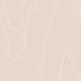 Cole & Son Wallcovering Watered Silk Salmon