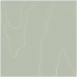 Cole & Son Wallcovering Watered Silk Sage COLE & SON LANDSCAPE PLAINS PAPER - 100% United Kingdom - Horizontal: - and Vertical: 24 20.5 - My Fabric Connection -