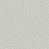 Cole & Son Wallcovering Pebble Pale Grey