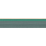 Cole & Son Wallcovering Jaspe Border Viridian/Gilver