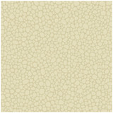 Cole & Son Wallcovering Pebble Cream COLE & SON LANDSCAPE PLAINS PAPER - 100% United Kingdom - Horizontal: - and Vertical: 5.1 20.5 - My Fabric Connection -