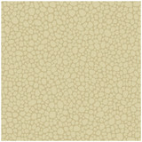 Cole & Son Wallcovering Pebble Latte COLE & SON LANDSCAPE PLAINS PAPER - 100% United Kingdom - Horizontal: - and Vertical: 5.1 20.5 - My Fabric Connection -