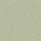 Cole & Son Wallcovering Pebble Sage