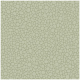 Cole & Son Wallcovering Pebble Sage COLE & SON LANDSCAPE PLAINS PAPER - 100% United Kingdom - Horizontal: - and Vertical: 5.1 20.5 - My Fabric Connection -