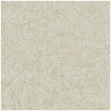 Cole & Son Wallcovering Cordovan Stone COLE & SON LANDSCAPE PLAINS PAPER - 100% United Kingdom - Horizontal: - and Vertical: 20.5 20.5 - My Fabric Connection -