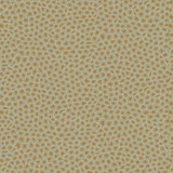 Cole & Son Wallcovering Senzo Spot Olive