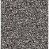 Cole & Son Wallcovering Senzo Spot Black & White COLE & SON ARDMORE PAPER - 100% United Kingdom - Horizontal: - and Vertical: 10.4 20.5 - My Fabric Connection -