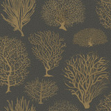 Cole & Son Wallcovering Seafern Black & Gold