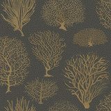 Cole & Son Wallcovering Seafern Black & Gold COLE & SON CURIO PAPER - 100% United Kingdom - Horizontal: - and Vertical: 20.5 20.5 - My Fabric Connection -