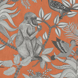 Cole & Son Wallcovering Savuti Orange