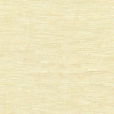 RM CoCo Fabric Guadalajara Straw Naturally Speaking - Wesco 100% LINEN Horizontal: 0 and Vertical: 0 55 - My Fabric Connection -