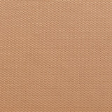 Charlotte Fabric 1341 Cashew Ring Book Page #29A 55% Cotton, 45% Polyester Taiwan Exceeds 50,000 Wyzenbeek Rubs (Heavy Duty) No Repeat 54 Inches - My Fabric Connection -