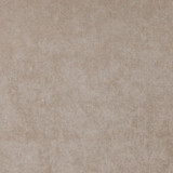 Charlotte Fabric 4225 Sand Elegance of Woven Velvet III 100% Woven Polyester Asia Exceeds 200,000 Wyzenbeek Rubs (Heavy Duty) No Repeat 54 Inches - My Fabric Connection -