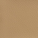 Charlotte Fabric 7179 Sand Heavy Duty Soft Touch Vinyl II 100% Virgin Vinyl, 30oz. Asia Exceeds 200,000 Wyzenbeek Rubs (Heavy Duty) No Repeat 54 Inches - My Fabric Connection - Charlotte Fabric 7179 Sand Heavy Duty Soft Touch Vinyl II 100% Virgin Vinyl, 30oz. Asia Exceeds 200,000 Wyzenbeek Rubs (Heavy Duty) No Repeat 54 Inches - My Fabric Connection -