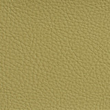 Charlotte Fabric 7181 Pesto Heavy Duty Soft Touch Vinyl II 100% Virgin Vinyl, 30oz. Asia Exceeds 200,000 Wyzenbeek Rubs (Heavy Duty) No Repeat 54 Inches - My Fabric Connection -