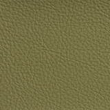 Charlotte Fabric 7191 Sage Heavy Duty Soft Touch Vinyl II 100% Virgin Vinyl, 30oz. Asia Exceeds 200,000 Wyzenbeek Rubs (Heavy Duty) No Repeat 54 Inches - My Fabric Connection -