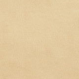 Charlotte Fabric 7277 Parchment Exotics 100% Virgin Vinyl, 34oz. Asia Exceeds 200,000 Wyzenbeek Rubs (Heavy Duty) No Repeat 54 Inches - My Fabric Connection -