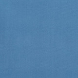 Charlotte Fabric 20940-11 Crypton Woven Velvet 100% Woven Polyester Made In USA Exceeds 200,000 Wyzenbeek Rubs (Heavy Duty) No Repeat 54 Inches - My Fabric Connection -