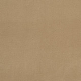 Charlotte Fabric 20940-14 Crypton Woven Velvet 100% Woven Polyester Made In USA Exceeds 200,000 Wyzenbeek Rubs (Heavy Duty) No Repeat 54 Inches - My Fabric Connection -