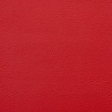 Charlotte Fabric V116 Poppy Value Vinyl 100% Vinyl, 29oz. Lead Free Asia Exceeds 100,000 Wyzenbeek Rubs (Heavy Duty) No Repeat 54 Inches - My Fabric Connection -