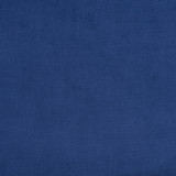 Charlotte Fabric D326 Regal Old World Classics 100% Woven Polyester Asia Exceeds 200,000 Wyzenbeek Rubs (Heavy Duty) No Repeat 54 Inches - My Fabric Connection -