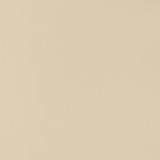 Charlotte Fabric V346 Sand Dollar Automotive Vinyl 100% Virgin Vinyl, 30oz. Asia Exceeds 220,000 Wyzenbeek Rubs (Heavy Duty) No Repeat 54 Inches - My Fabric Connection -